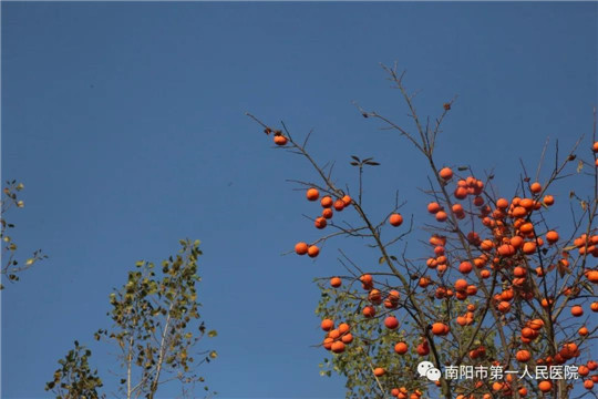 微信图片_20210111141802.jpg