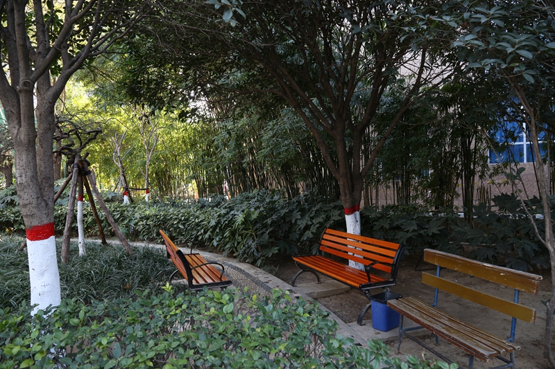 院内环境.jpg